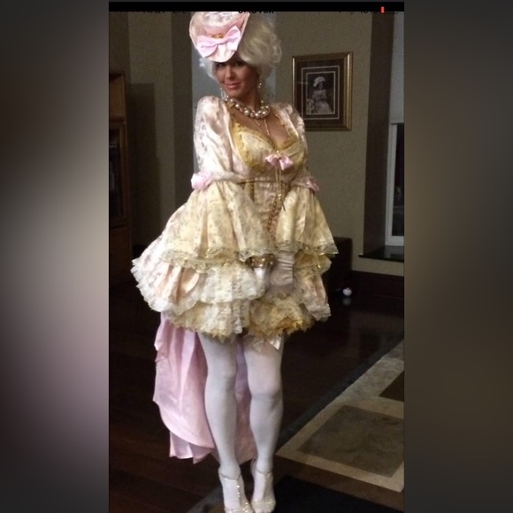 Vixen of Versailles costume - Picture 2 of 2